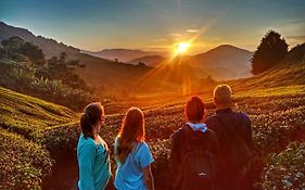 C1 Backpackers Hostel