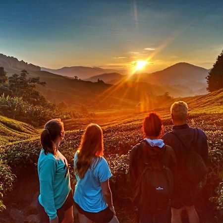 C1 Backpackers Hostel Cameron Highlands Exterior foto