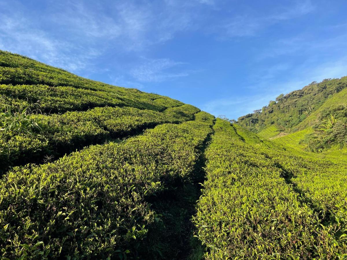 C1 Backpackers Hostel Cameron Highlands Exterior foto